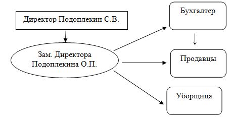 Дипломная работа: Проект защиты информации с разработкой системы видеонаблюдения